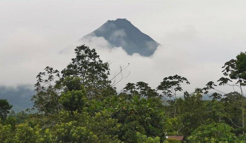בית מלון כפרי La Palmera Real