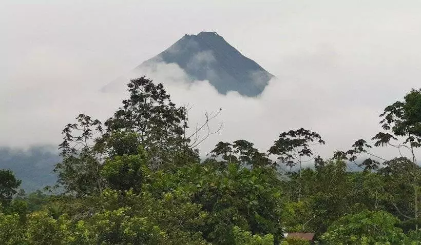 Hotelli La Palmera Real