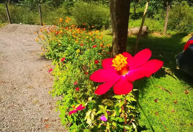 Hotelli La Palmera Real