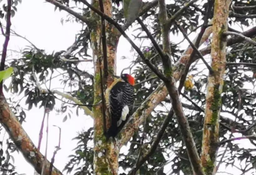 Hotelli La Palmera Real