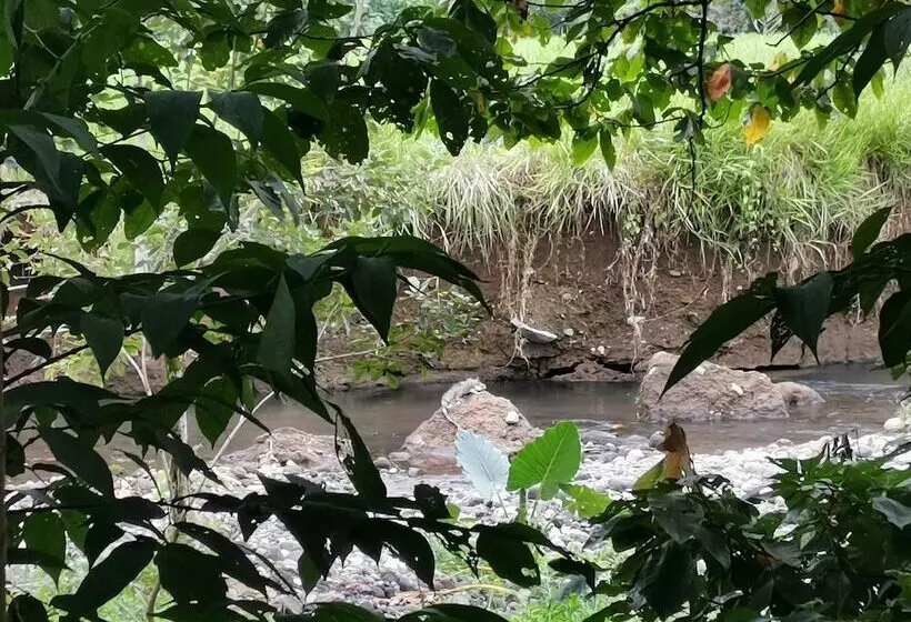 Hotelli La Palmera Real