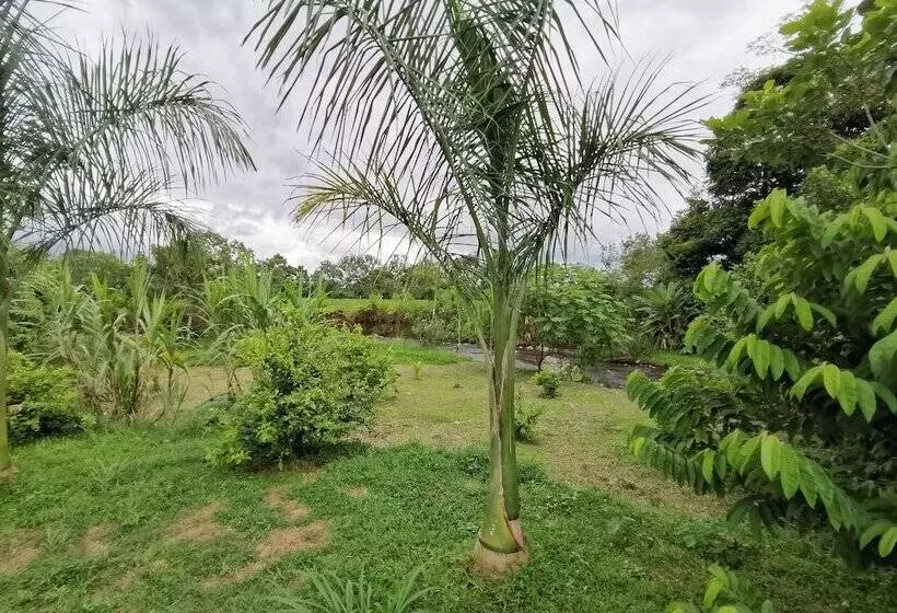 Hotelli La Palmera Real