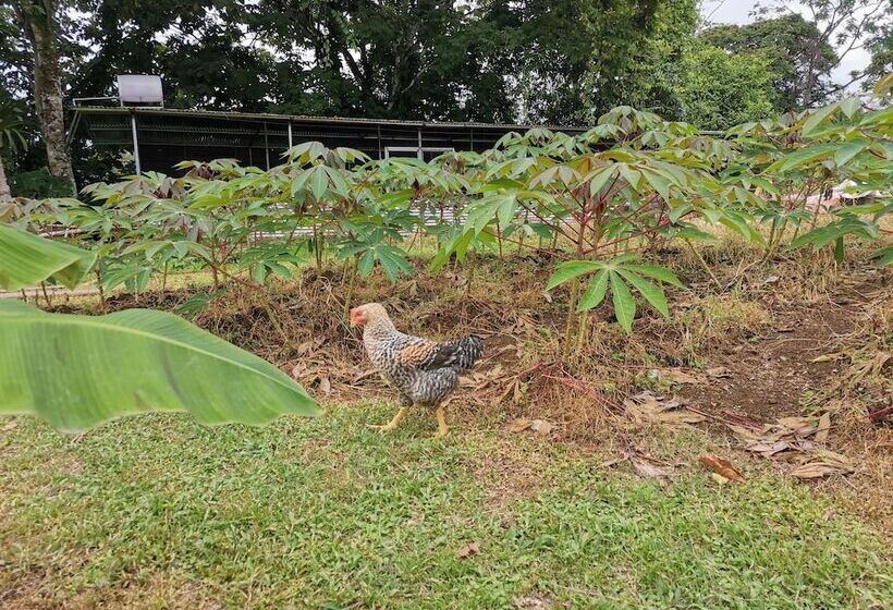 בית מלון כפרי La Palmera Real