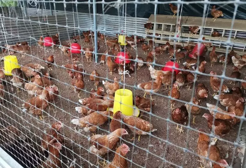 Hotelli La Palmera Real