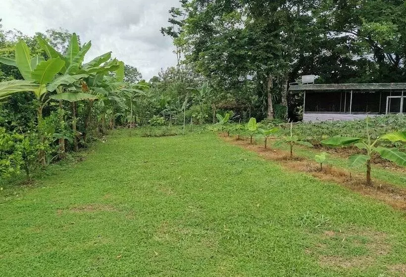 Hotelli La Palmera Real