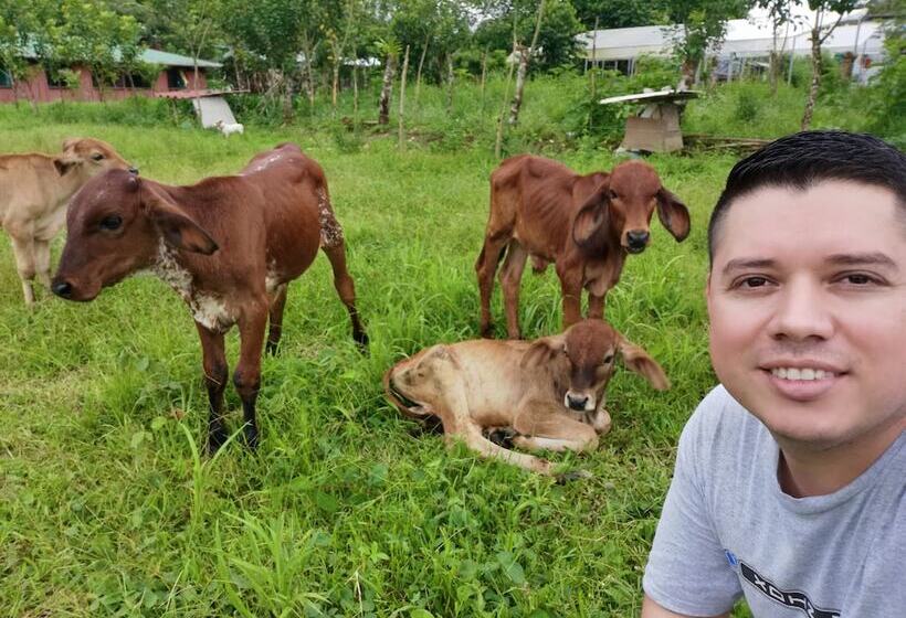 בית מלון כפרי La Palmera Real