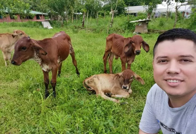 Hotelli La Palmera Real