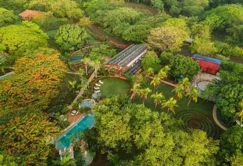 Hotelli Latica Lodge