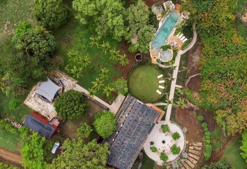 Отель Latica Lodge