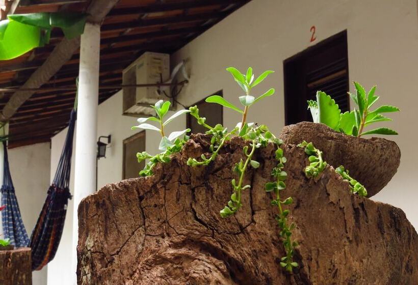 בית מלון כפרי Tirol Pousada