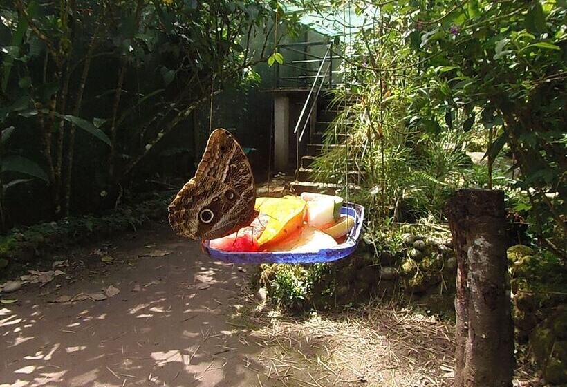 بنسيون Hostal Pablos House