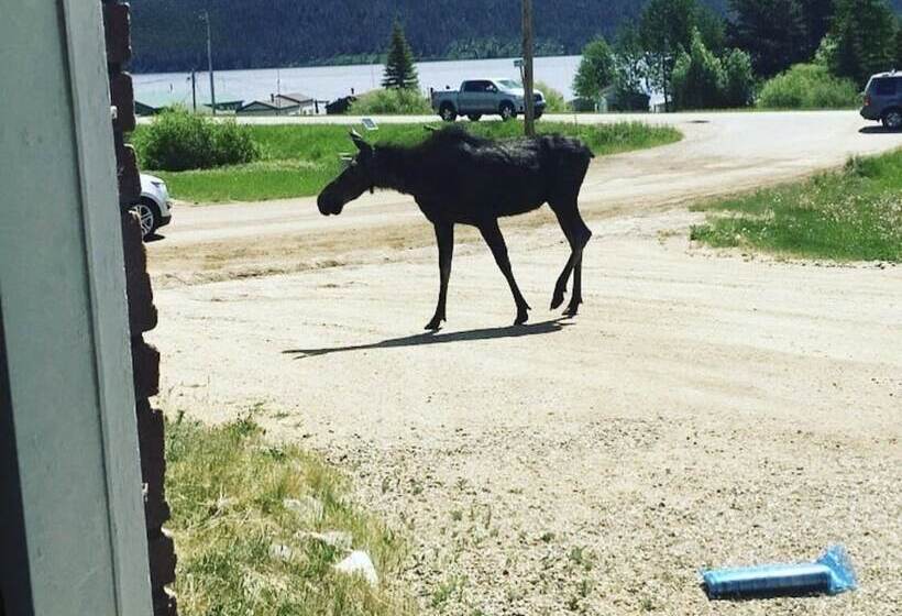 Пансион Timberline Inn Of Grand Lake