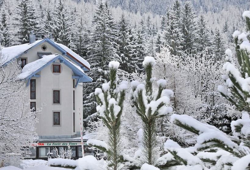 إقامة Village Vacances La Forêt Des Tines