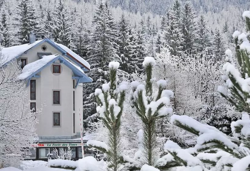 اقامتگاه Village Vacances La Forêt Des Tines