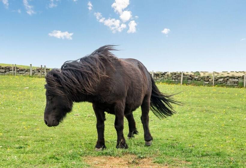 Street House Farm Cottage