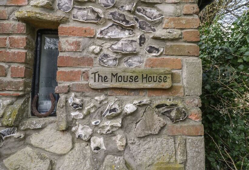 The Mouse House