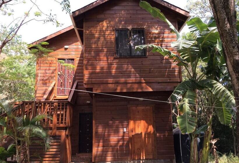 Tortuga Bahia Lower Unit