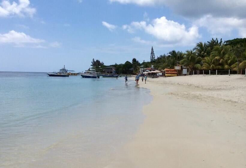 Tortuga Bahia Lower Unit