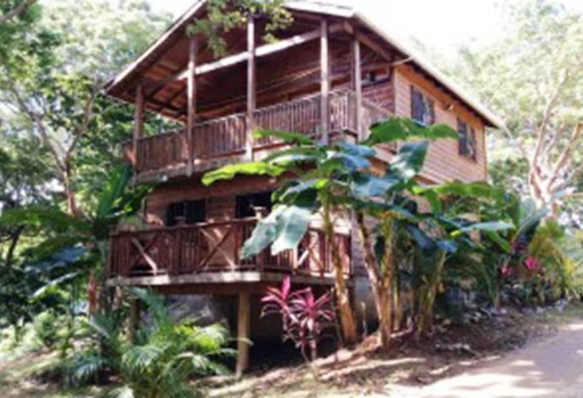 Tortuga Bahia Lower Unit