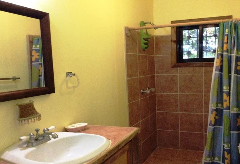 Tortuga Bahia Lower Unit