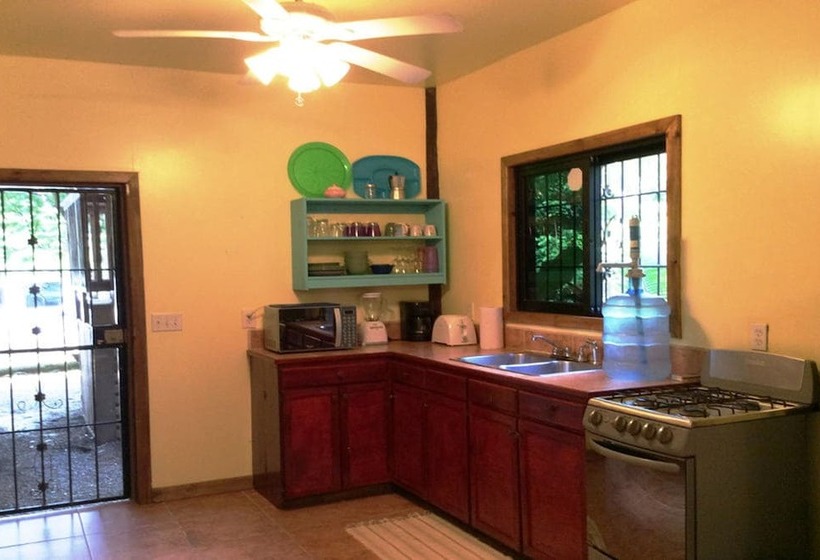 Tortuga Bahia Lower Unit