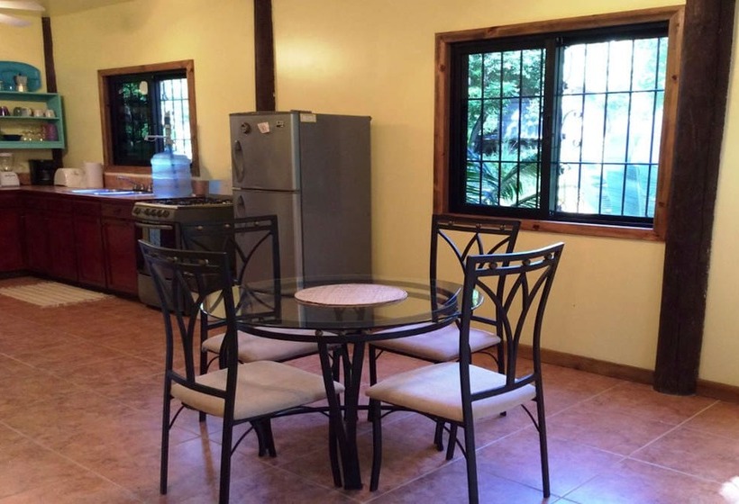 Tortuga Bahia Lower Unit