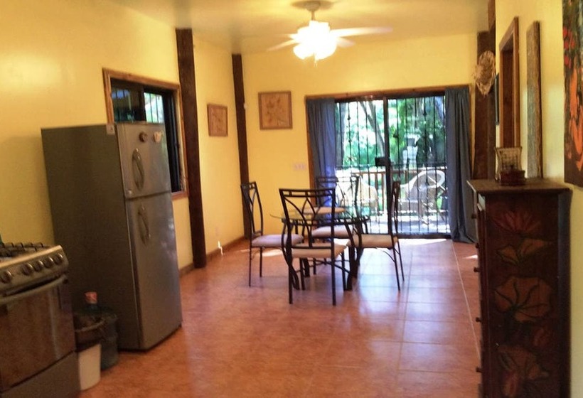 Tortuga Bahia Lower Unit