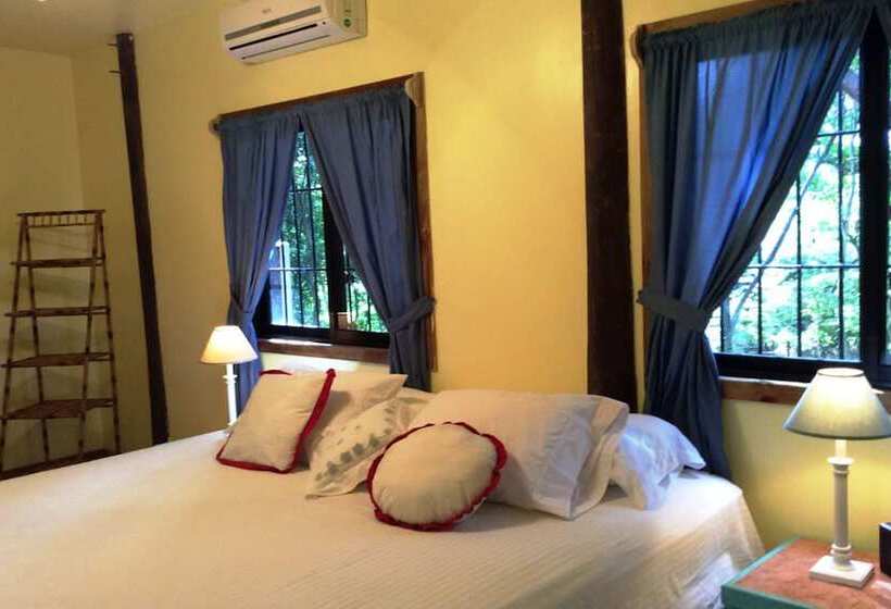 Tortuga Bahia Lower Unit