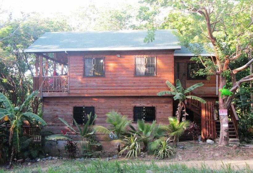 Tortuga Bahia Lower Unit