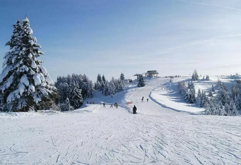 Отель Caminetto Mountain Resort