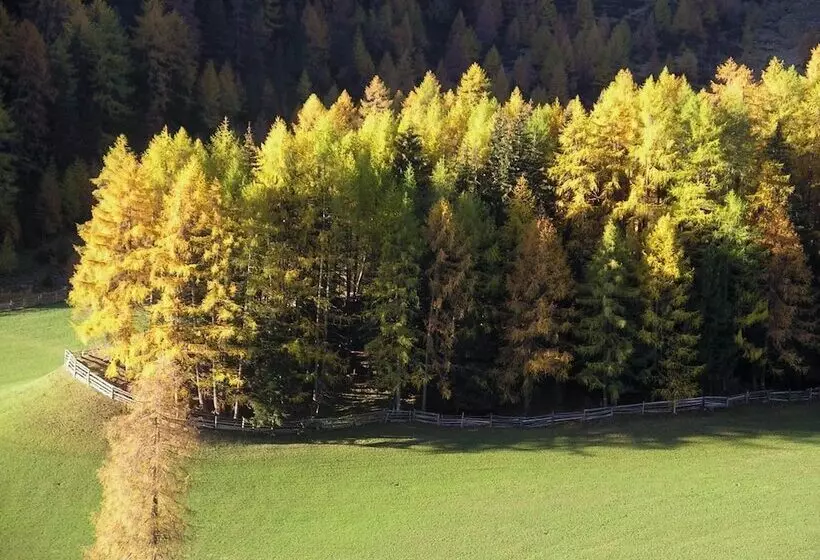 Отель Edelweiss