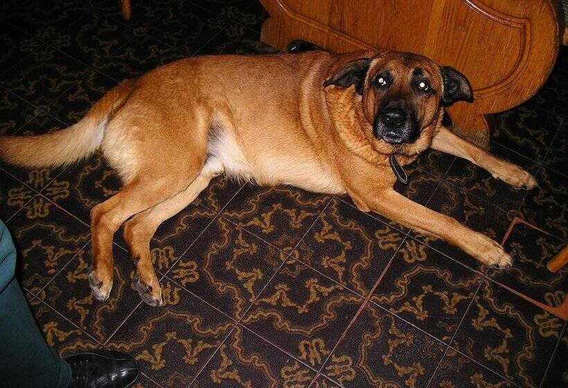 Отель Edelweiss