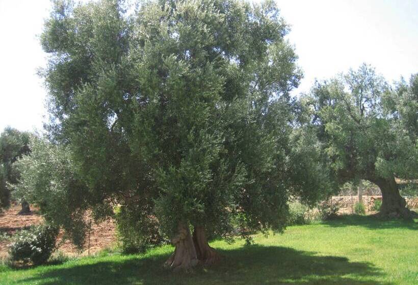 בית מלון כפרי La Vigna Vecchia