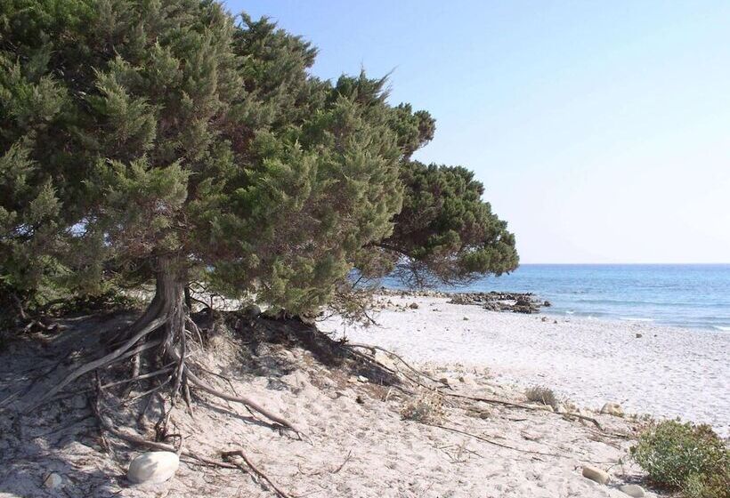 Residence Marina Palace