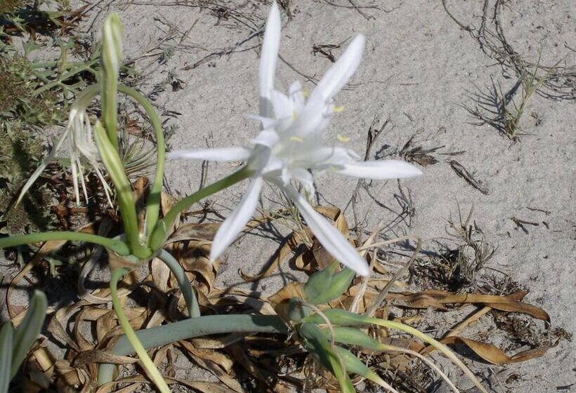 Residence Marina Palace