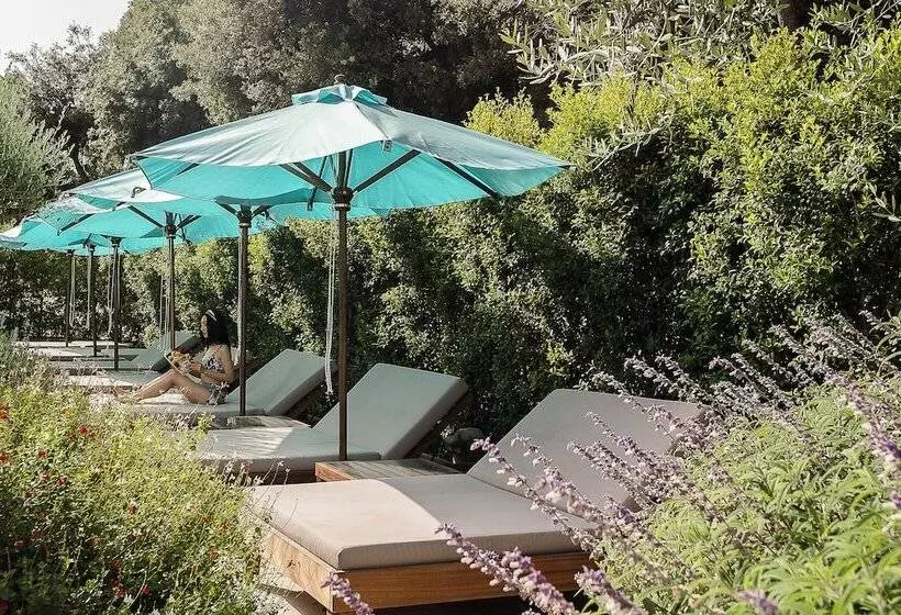 渡假胜地  Botania Relais & Spa   The Leading Hotels Of The World