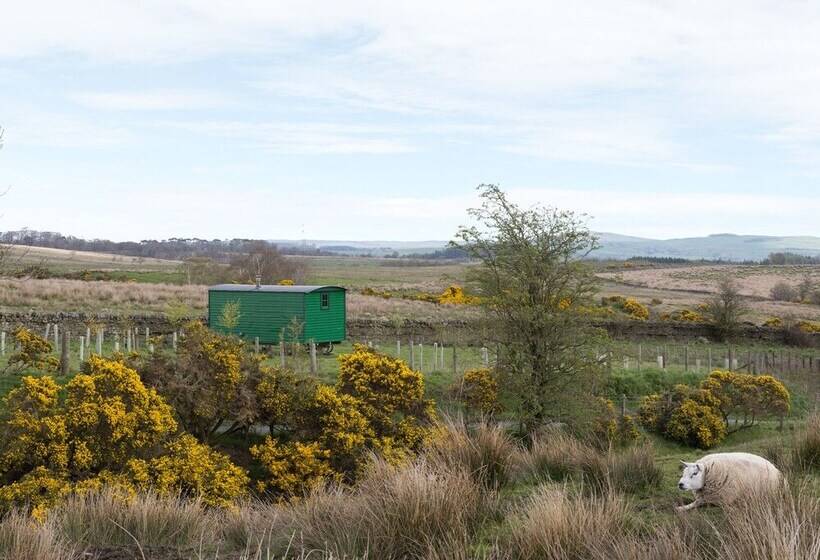 Peat Gate Shepherd S Hut