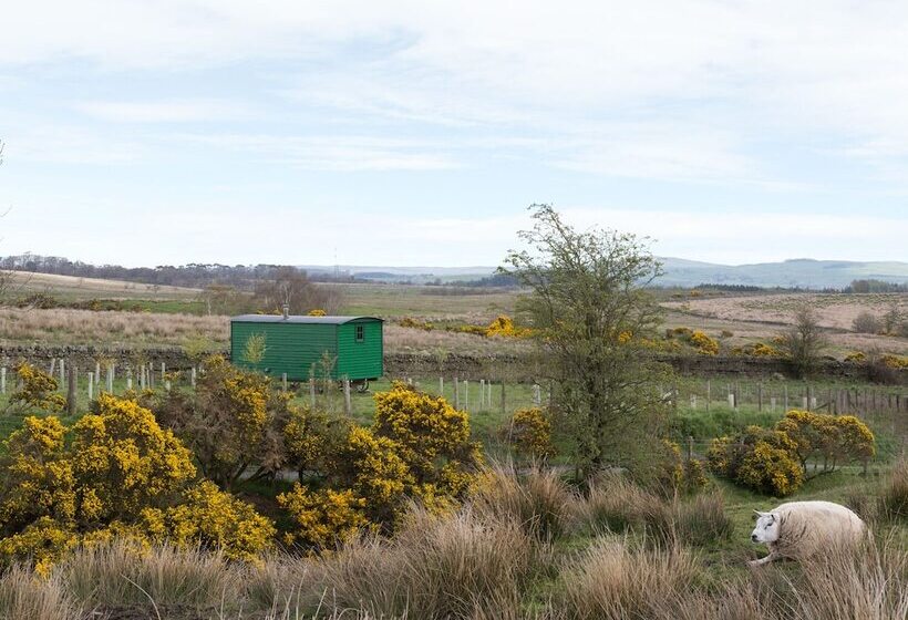 Peat Gate Shepherd S Hut