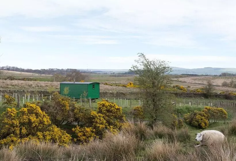 Peat Gate Shepherd S Hut