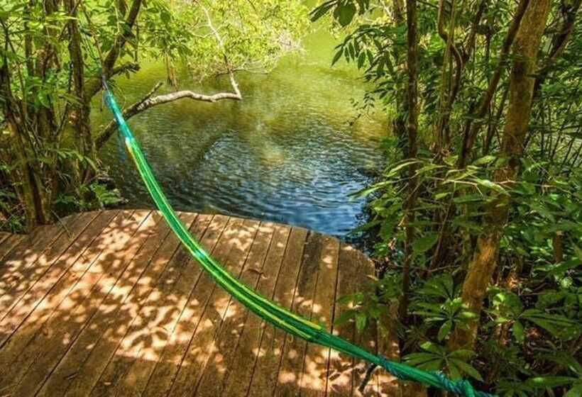 هاستل Finca Tatin