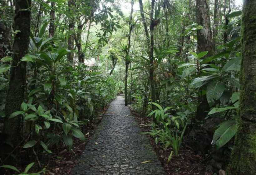 هاستل Finca Tatin