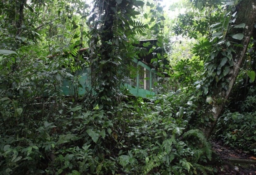 هاستل Finca Tatin