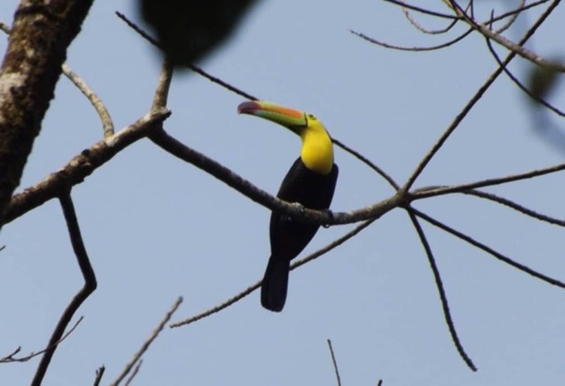 هاستل Finca Tatin