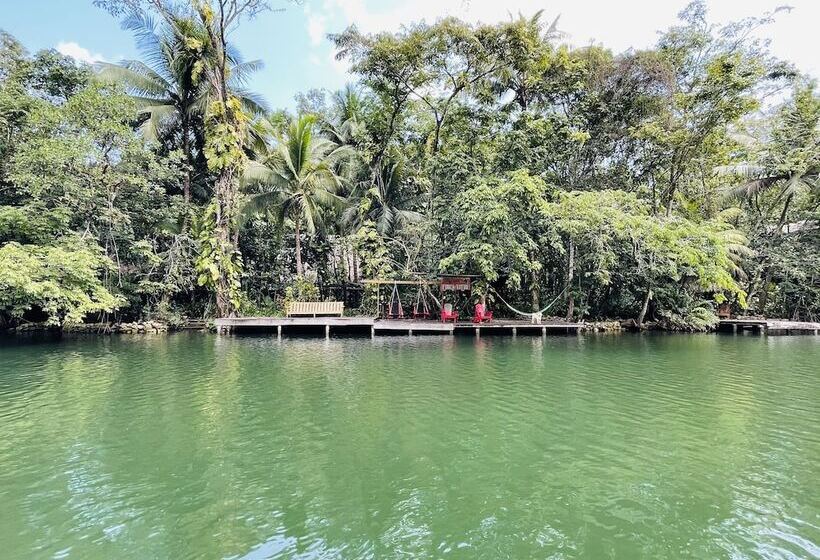 هاستل Finca Tatin