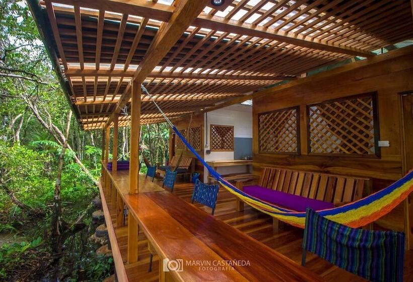 هاستل Finca Tatin