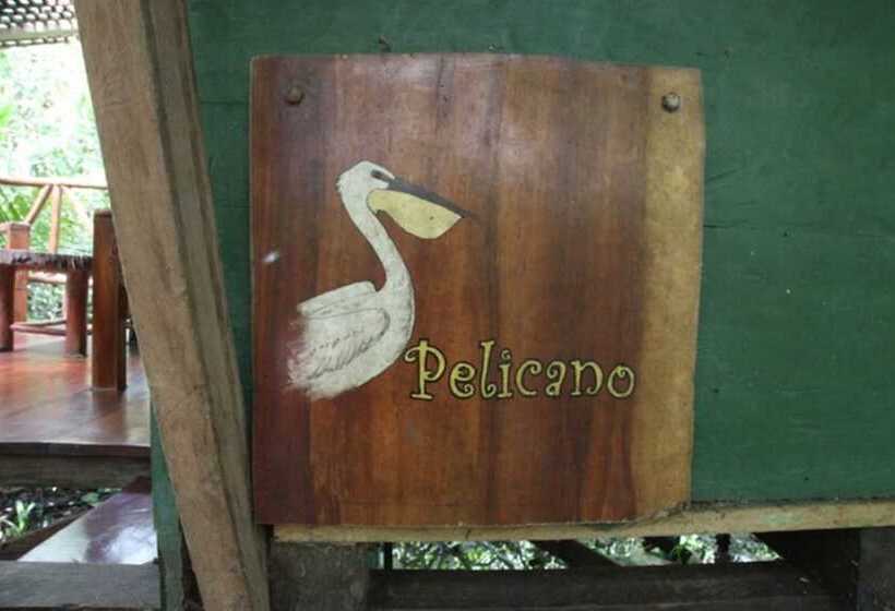 هاستل Finca Tatin