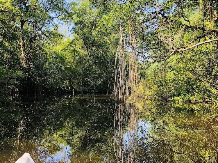 هاستل Finca Tatin