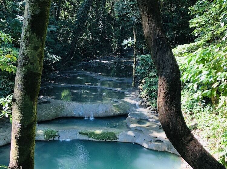 هاستل Finca Tatin