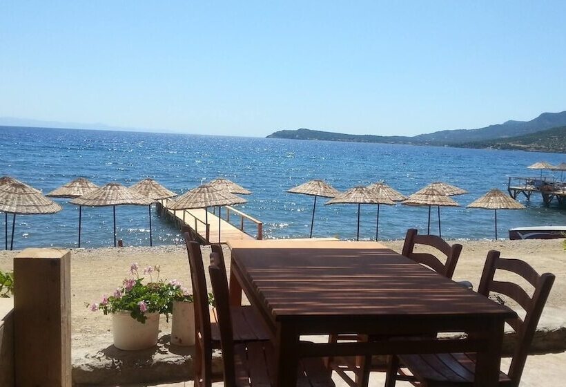 Assos Bahcivan Motel