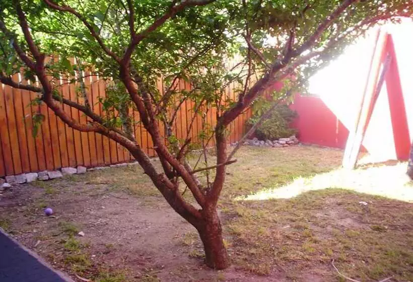 Complejo Rocio De Luz